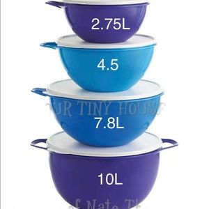 4 Pcs Tasha Bowl set